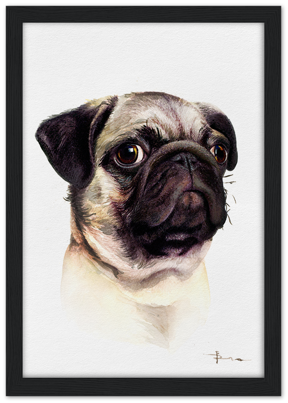 watercolor pet portraits